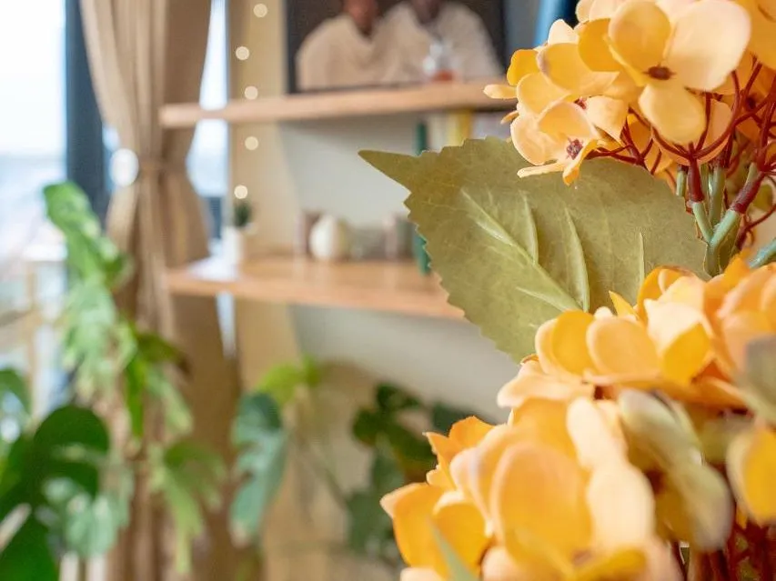 airbnb nairobi living room decor plants